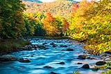 Ausable River October 2021